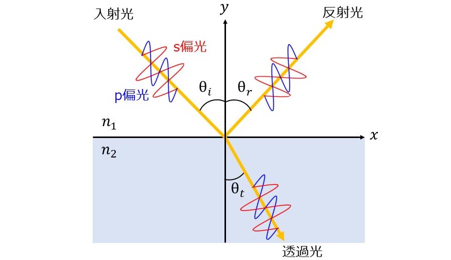 境界面における反射光と透過光